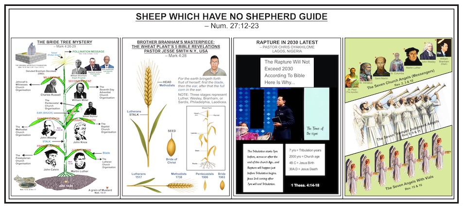 SHEEP WHICH HAVE NO SHEPHERD GUIDE